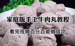 在家如何做牛肉丸自制牛肉丸子做法(菜谱在家DIY教你完美做出入口即化的牛肉丸子)