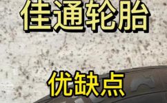 狼爪什么档次(狼爪品质解析：如何选购高档次的汽车轮胎？)