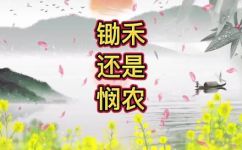 春种一粒粟的下一句(春种一粒粟，秋收万颗子：深入阐述春秋耕作的重要性)