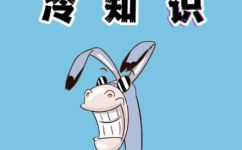 菠萝盖是什么意思和解释(菠萝盖意思解释)