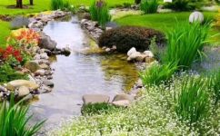 水生花卉有哪些(水生花卉大盘点水中花海，盘点适合养在水里的花卉有哪些？)
