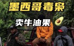 墨西哥牛油果好吃吗(品味墨西哥风情，探访牛油果美食文化)